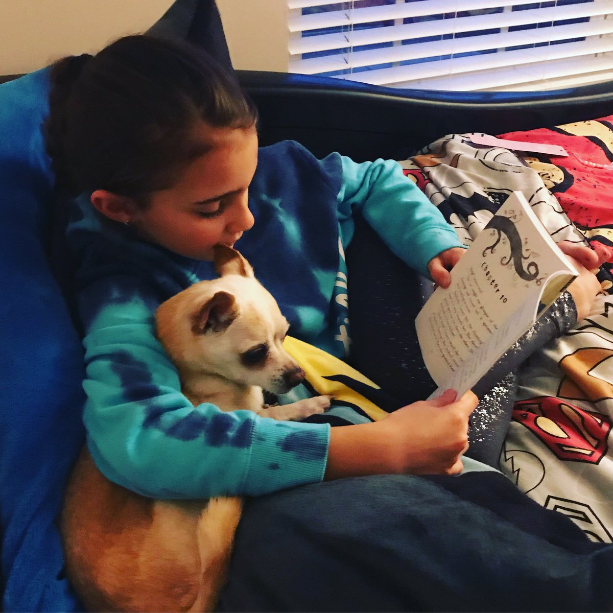 MsKateMcGee's tweet photo. #BooksandBrackets CHALLENGE! 🚨- We want all of our students to read to their pet for extra minutes this week! 🐕 .
Send us a picture at kate.anderson@ucps.k12.nc.us (or back here) for us to share out! Let’s Go Red Wolves 🐺! #readreadread #teamucps #teamrves @aghoulihan @ucpsnc https://t.co/zwKBkPYP2e