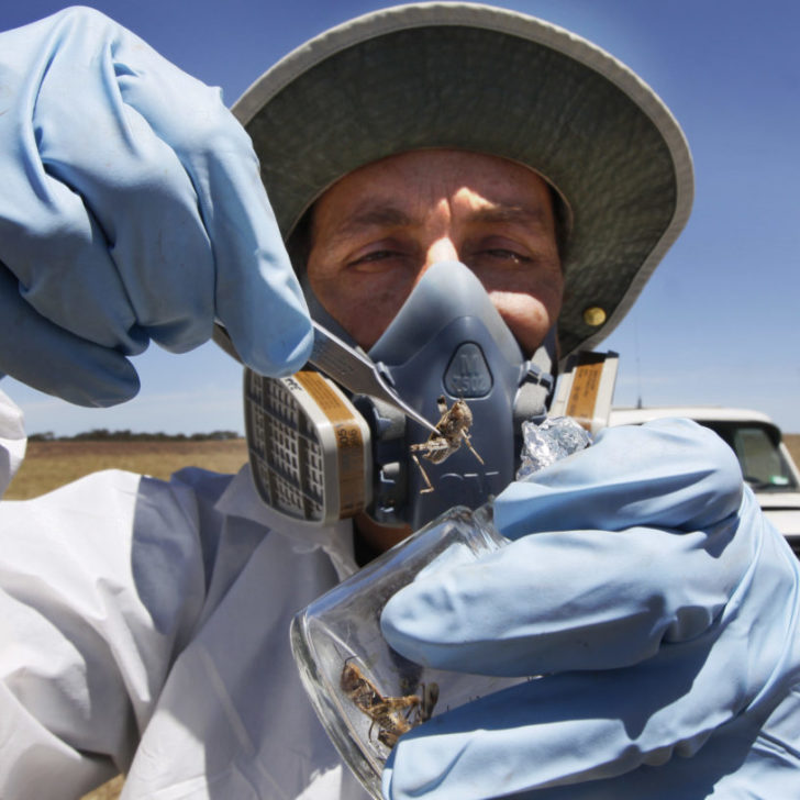 Meet our Keynote speakers:
Dr. Pierre Mineau, Adjunct Professor, Carleton University, Ottawa, Canada 🇨🇦
Dr. Mineau has over 40 years of experience in assessing the environmental risk of pesticides. 
More details on our website:
icppm.ca
