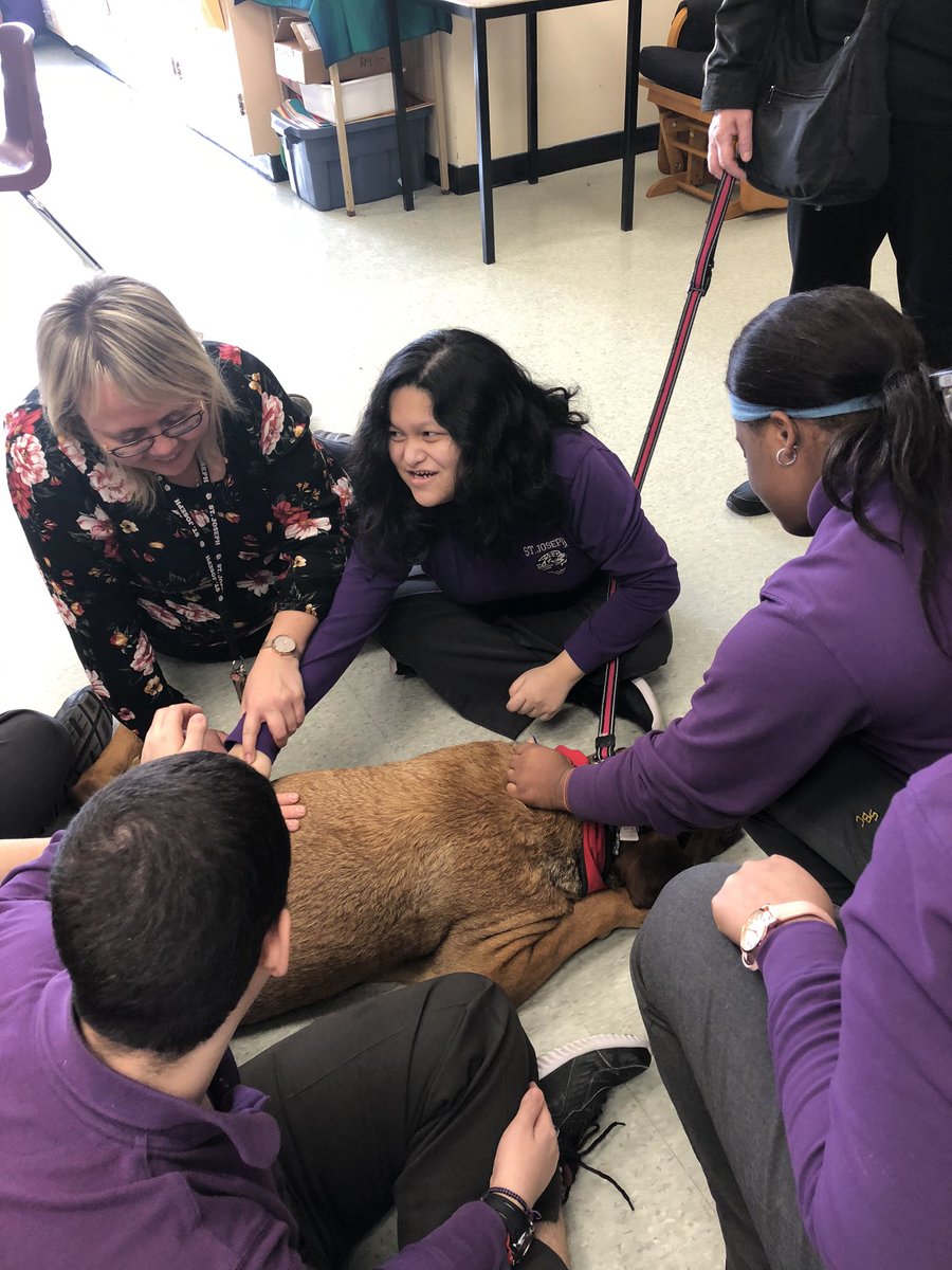 StJoesPIP's tweet photo. A special visit from Toby the therapy dog. https://t.co/3syRi9brB7