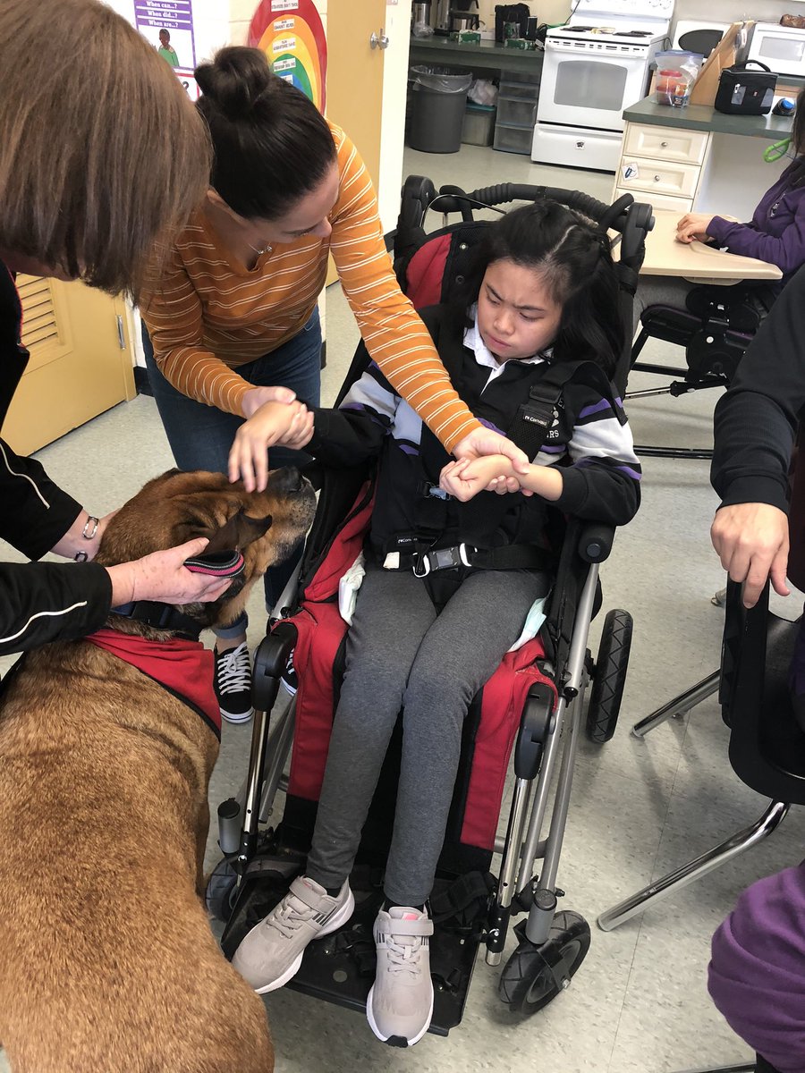 StJoesPIP's tweet photo. A special visit from Toby the therapy dog. https://t.co/3syRi9brB7