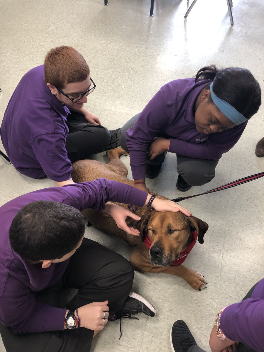 A special visit from Toby the therapy dog.