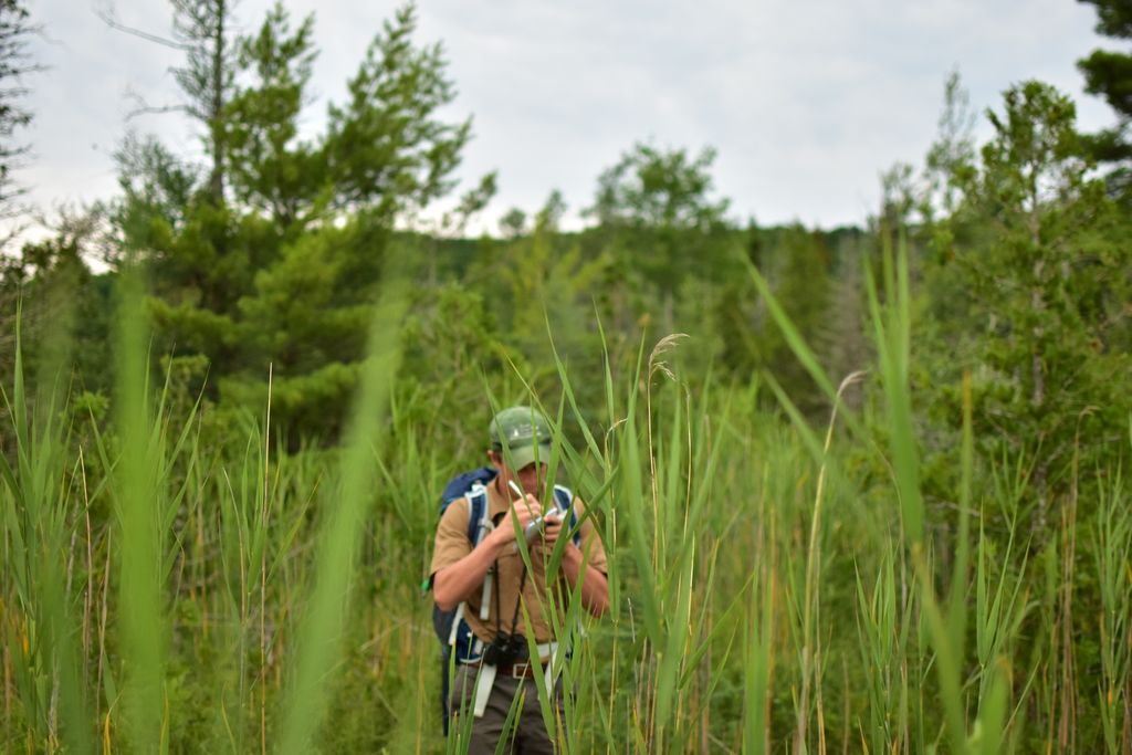 We're hiring for a part-time stewardship intern!

We're currently seeking an individual with a background or keen interest in land conservation to fill our summer 2020 #stewardship #intern position. Details and how to apply here: leelanauconservancy.org/about-us/work/