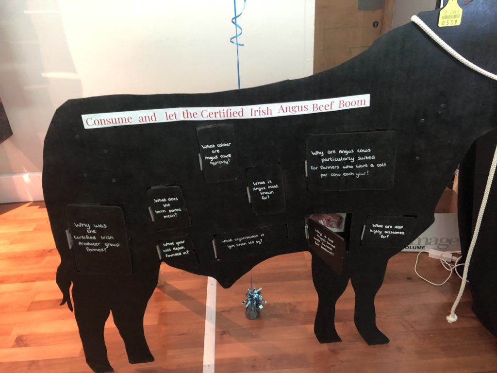 aideen_burke's tweet image. Delighted to represent @AbpFoods today in @CrokePark judging some of the 35 schools hoping to progress in the @IrishAngusBeef Schools Competition in conjunction with @AbpFoods and @KepakGroup. The aim of the competition is to promote the Certified Angus Beef brand. #qualitybeef