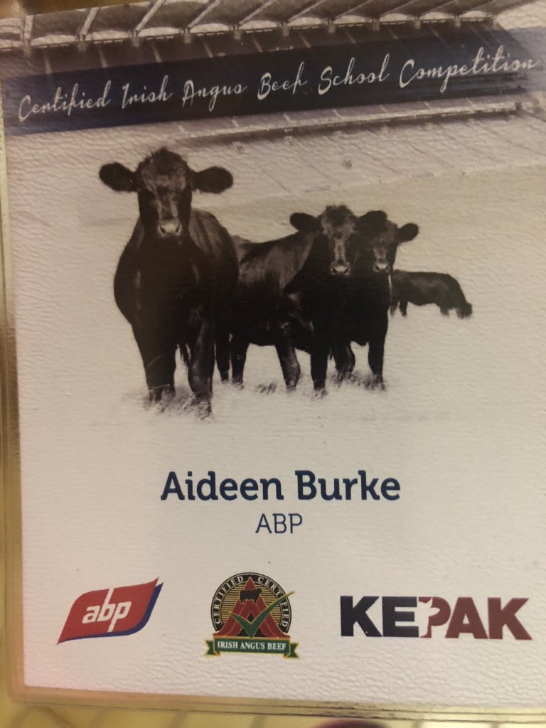 aideen_burke's tweet image. Delighted to represent @AbpFoods today in @CrokePark judging some of the 35 schools hoping to progress in the @IrishAngusBeef Schools Competition in conjunction with @AbpFoods and @KepakGroup. The aim of the competition is to promote the Certified Angus Beef brand. #qualitybeef