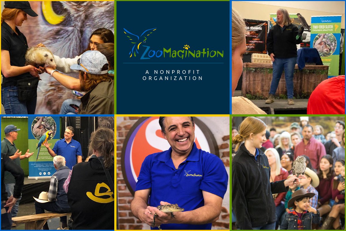 Had an amazing February at Zoomagination! Got to hang out with our friends at <a href="/SALiveKSAT/">SA Live | ABC KSAT</a>! Had a blast educating and meeting new friends at <a href="/SanAntonioRodeo/">SA StockShow Rodeo</a>! Added two new alligator hatchlings to our family! And we are now officially a #Nonprofit!  

#AnimalAdvocates #SanAntonio