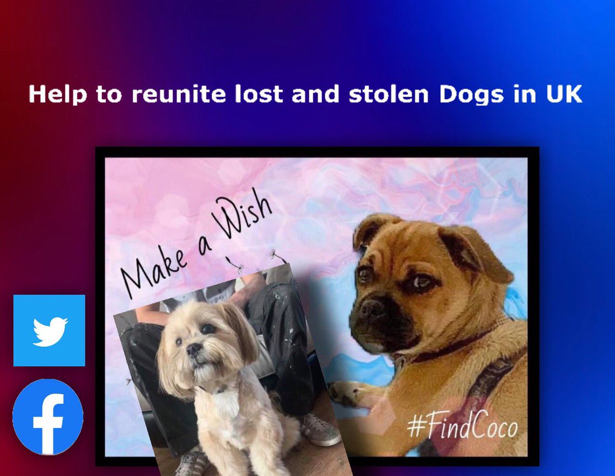 _dogandbone_'s tweet photo. We are “Help to reunite lost and stolen dogs in uk” reuniting Dogs across the Country come and see us on @Twitter and @Facebook 
https://t.co/NcwvBmHEDu

Do you want to help find a beloved a Pet then become a part of an ever growing group working alongside Dog search experts... https://t.co/O5zZUlRdWq
