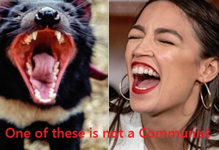 actlightning's tweet photo. Alexandria Ocommio-Cortex's #ProggieTwits enjoy epic FAIL in Super Tuesday contests
https://t.co/UlBDGlphmj #Millennials #FearTheBern #UniteBlue #Democrats #DemocraticParty @AOC https://t.co/XgYUu6o2yL