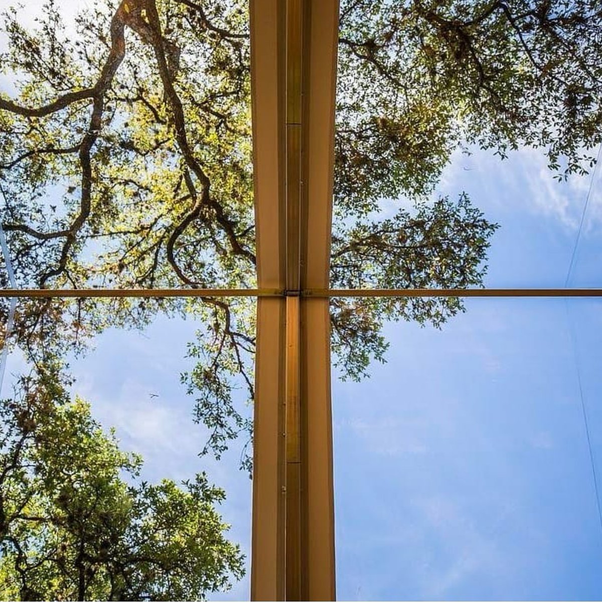 KederSolutions's tweet photo. π: Event Pro Tip: take advantage of views π€ π³
π Bonus Tip: views from a crisp, clean, kedered tent are even MORE spectacular. βΊ
#keder #structure #tents #clearspan #kederrail #eventprofs #tentrental #rentals #events #manufacturers #manufacturing #vinyl #fabric https://t.co/O7Flw6lbM5