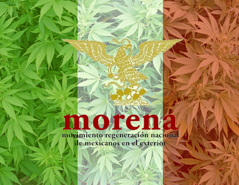 breaking_mx's tweet photo. El 45% de los mexicanos está a favor de legalizar completamente la marihuana 🌿

Buena parte de los encuestados también consideran solamente el uso médico. La planta generaría 1,700 millones de dólares anuales. #MarihuanaLegal https://t.co/KOvaIMdCwi https://t.co/lWI9nWSz1Q