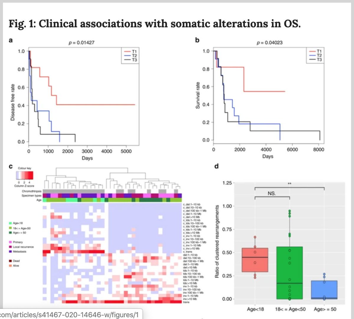 AgentsMIB's tweet photo. #FACTOR20 Speaker Andrew Livingston, MD shared his work, "Immuno-genomic Landscape of Osteosarcoma" at MIB FACTOR 2020 - oh, and then won the OutSmarting #Osteosarcoma $100k Award - voted on by his peers and the OS community.
#BelieveInBetter #MakeItBetter
https://t.co/opaxcFGaif https://t.co/DySaeig0Fl