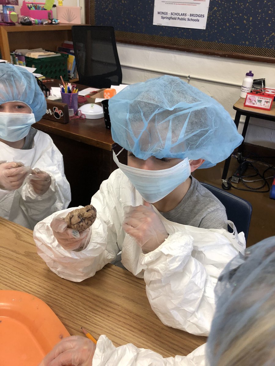 GillespieJerra's tweet photo. These students will be great doctors !  #nofear @PhelpsCenter @BlaineAndrea https://t.co/Veo5yzzMUQ