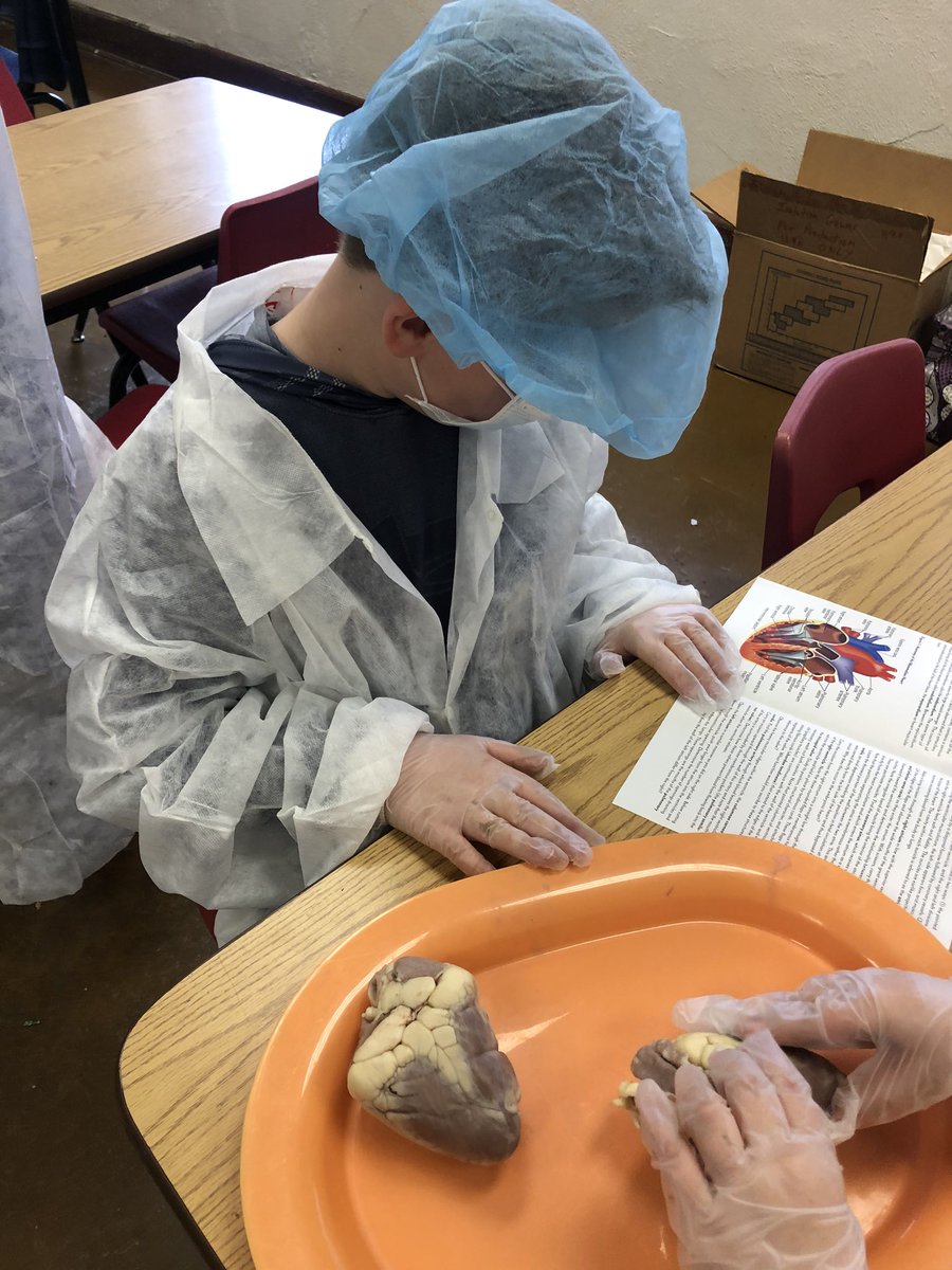 GillespieJerra's tweet photo. These students will be great doctors !  #nofear @PhelpsCenter @BlaineAndrea https://t.co/Veo5yzzMUQ