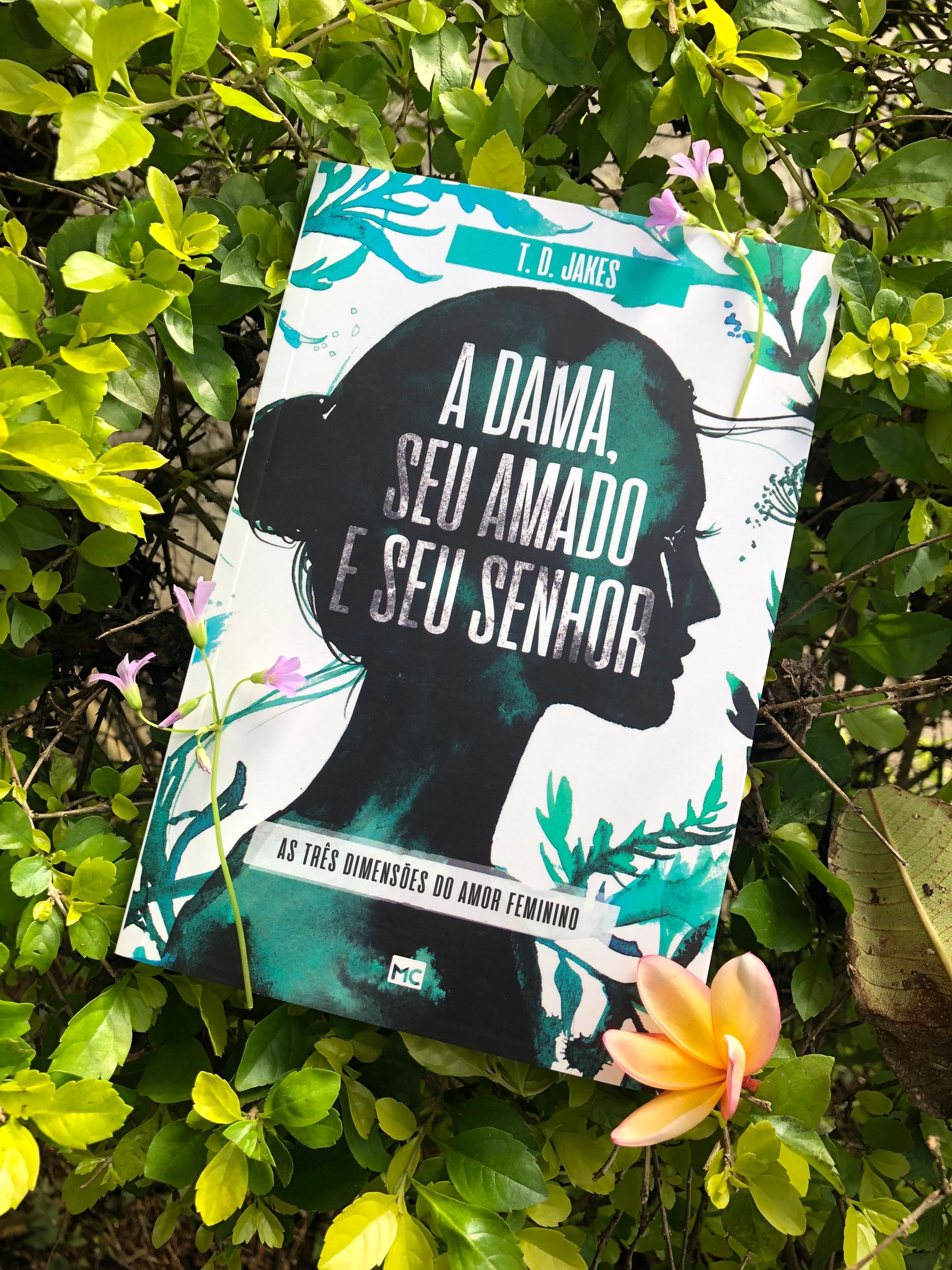 Livro: A dama, seu amado e seu Senhor: As três dimensões do amor feminino 