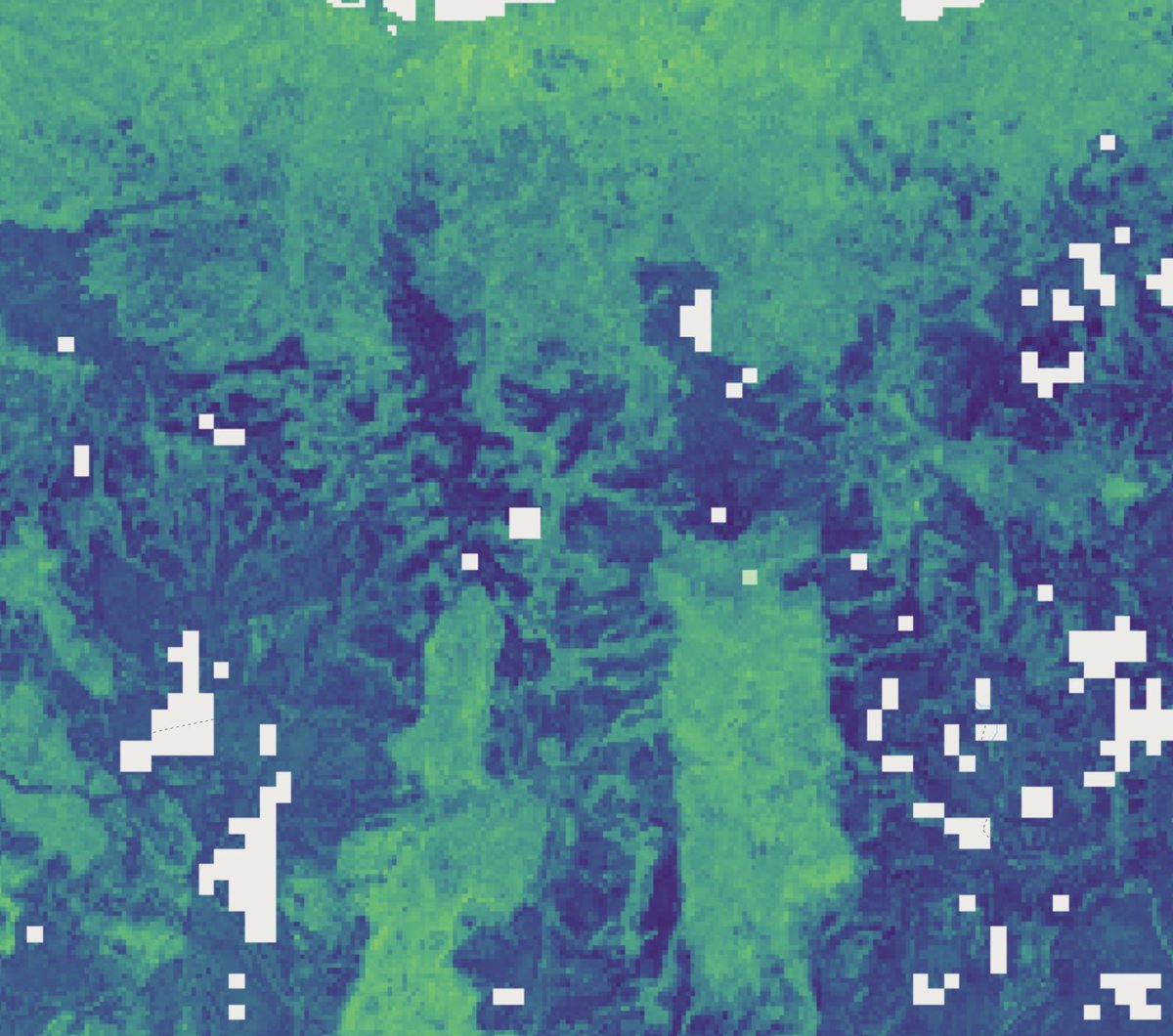 @BZgeo teaser here for a 30m resolution tree height dataset for Central America combining @NASA_ICESat2 and #EarthObservation data using @scikit_learn and @TensorFlow on @googleearth/@EarthOutreach  and @GCPcloud 

#EarthEngine #geospatial #ML