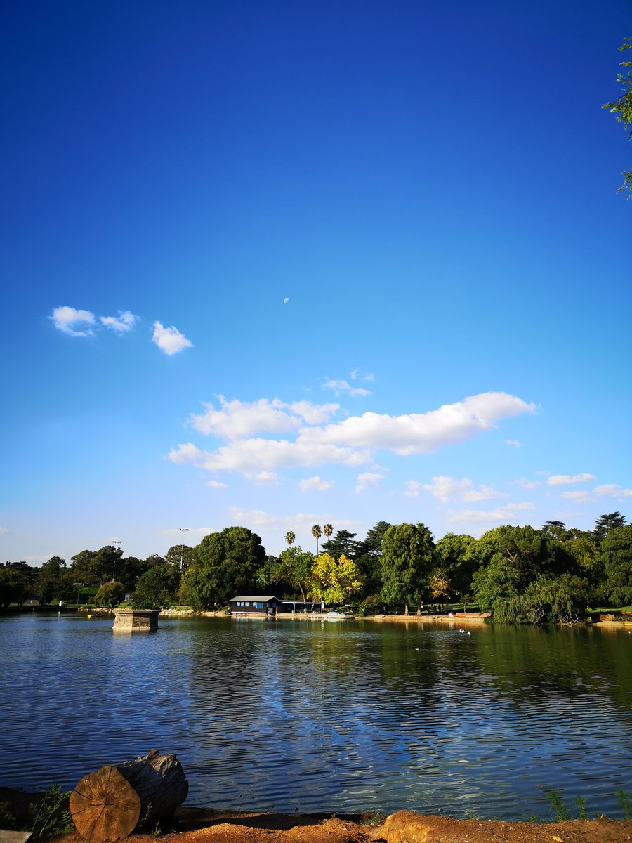 TimPerks85's tweet image. Evening stroll around Zoo Lake