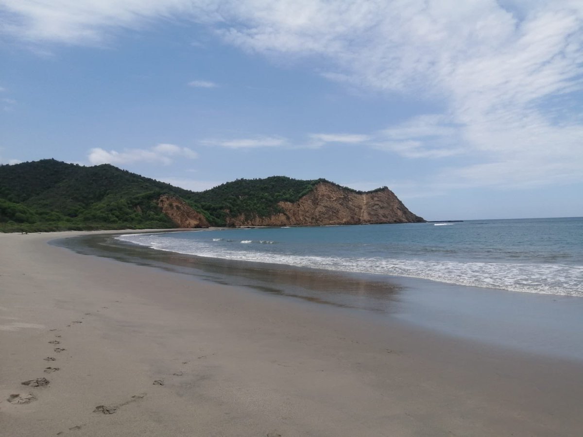 Ecuador 🇪🇨 - Mindo, Ayampe, Guayaquil, Quito