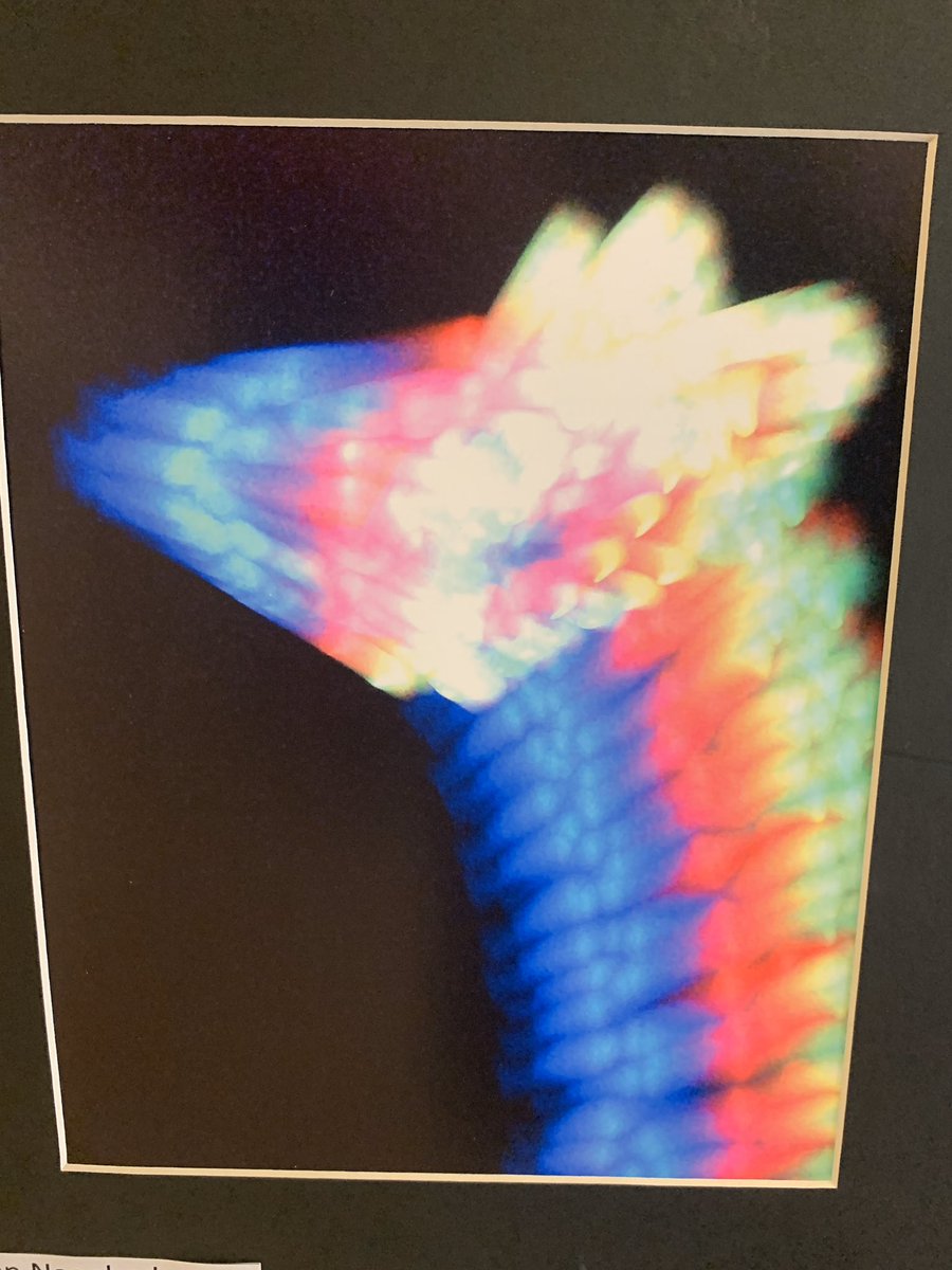 PemSch_news's tweet photo. Spotted on the #WallsOfOurHalls ... some amazing work at Pembroke High. #TitanPride #PHSArt https://t.co/CDf4gmJdC1