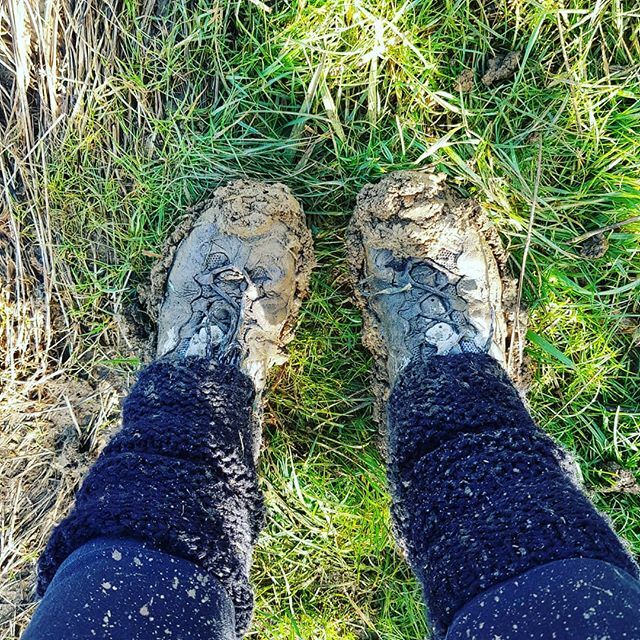 Walking at the moment is sometimes like wearing ankle weights - so much mud! Still, was good to get outside at the weekend and not get soaked, for a change. Was short lived obviously 🙄
.
.
.
#getoutside #findyourepic #getoutdoors #muddyboots #walking… ift.tt/38p2SxJ