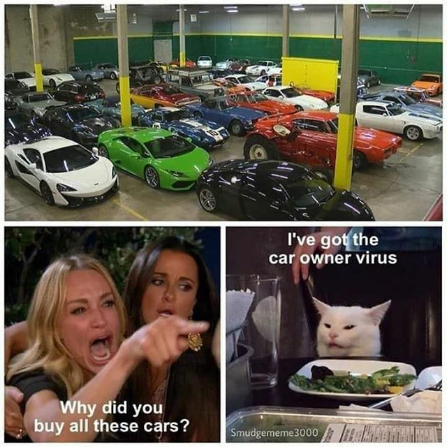 larrytbeach's tweet photo. Yep, makes sense to me!
.
.
.
.
#gt500kr #gt500 #ford #fordperformance #mustang  #shelby #gt-h #thunderbird #turbocoupe #fordGT #raptor #svt #FBZ #CS-8 #lightning #LoveFL #Orlando #roushperformance #gt350 #gt350r #mach1 #cobra #marauder #cobrajet  #going… https://t.co/ri1d6DEsOB https://t.co/J3B4ZDYAEi