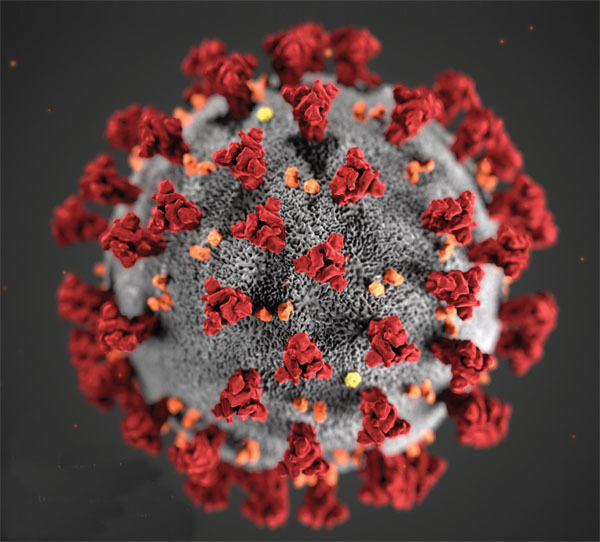 MHeinerth's tweet photo. By now, you may have heard the coronavirus being referred to as COVID-19. The importance of this distinction is because MERS and SARS are also strains of coronavirus. You can read more about it here: https://t.co/q8lF8aS1iM https://t.co/fp531BkdZG