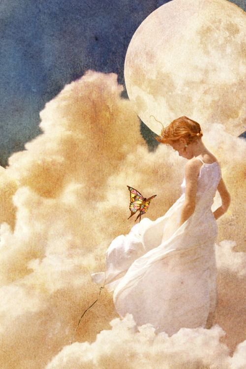 ___Diamonddust_'s tweet photo. Apri di più il tuo cuore, non sei prigioniero.
Sei un uccello che vola nel cielo alla ricerca di sogni.

Haruki Murakami https://t.co/2ApaAc2UTJ