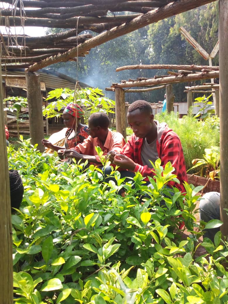 rfncsa_rwanda's tweet photo. RFNCSA_rwanda yatangiye uburyo bwo kwigira hamwe uburyo bwo kongerera ibiti by`imbuto umusaruro buzwi nko kubangurira izi n` imbuto(ingemwe) #indimu. https://t.co/nI93Frb5rH