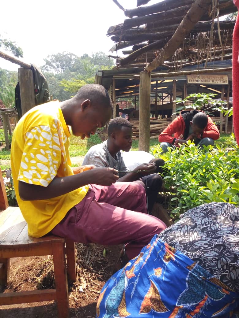 rfncsa_rwanda's tweet photo. RFNCSA_rwanda yatangiye uburyo bwo kwigira hamwe uburyo bwo kongerera ibiti by`imbuto umusaruro buzwi nko kubangurira izi n` imbuto(ingemwe) #indimu. https://t.co/nI93Frb5rH