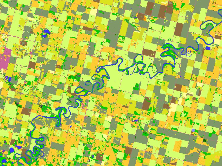 LeanderCampbell's tweet photo. #cropmap19 of #ABag is now complete.
Zoom-in of the twists & turns of the Pembina River near Barrhead.
Crop types in that area: Canola, Spring Wheat, Barley, Oats, Pasture/Forage, Peas, & Corn. If you look hard enough you'll spot a field of Flax and one of Faba too! #cdnag https://t.co/975PCkv3Gc
