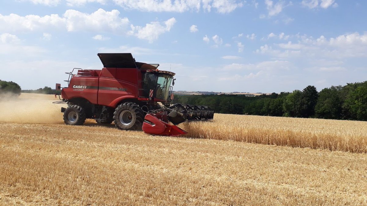 OlivierCOSTE2's tweet photo. @BONNIN1402 @Pat2816 Le #débarquement,en juin!
C’est bien la période,de la visite de #ceuxquifontlesessais?
En juin,nos #moissonneuses débarqueront dans nos #orges. https://t.co/0OObk9VQjc