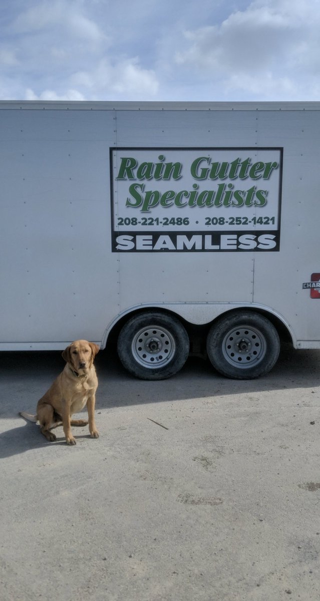 HirschiClay's tweet photo. Rain Gutter Specialist employee of the week. Big Thor! https://t.co/4W7PSYdMwV