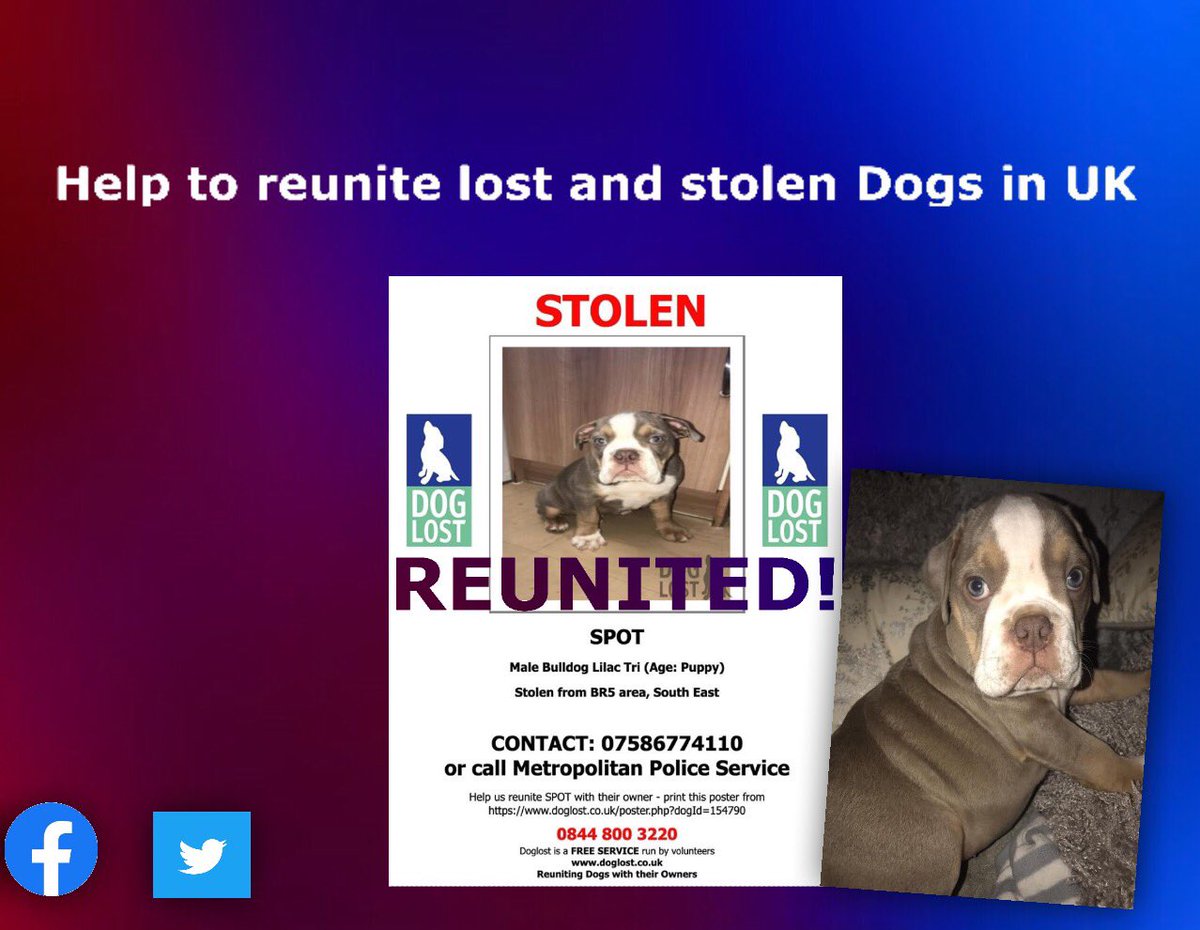 _dogandbone_'s tweet photo. Great News! Spot has been #REUNITED with his Family @DogslostUK @_dogandbone_ #crufts2020 https://t.co/OHJidmzQvc