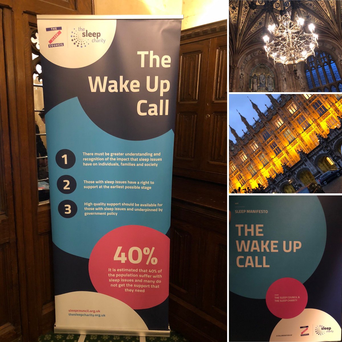 Delighted to attend on behalf of
Premier Inn, the launch of the Sleep Manifesto at the Houses of Parliament.   Raising awareness to improve the nations sleep💤💜#howareyousleeping?