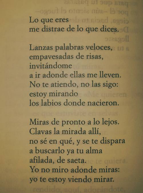 ¿No os ocurre que cada libro o cada poema tiene su momento? ¿Que las palabras alteran su sentido según el instante en que se leen? Hoy nos ocurre con este texto de Salinas. Nunca nos parecieron tan hermosos estos versos finales: "Yo no miro adonde miras, yo te estoy viendo mirar"