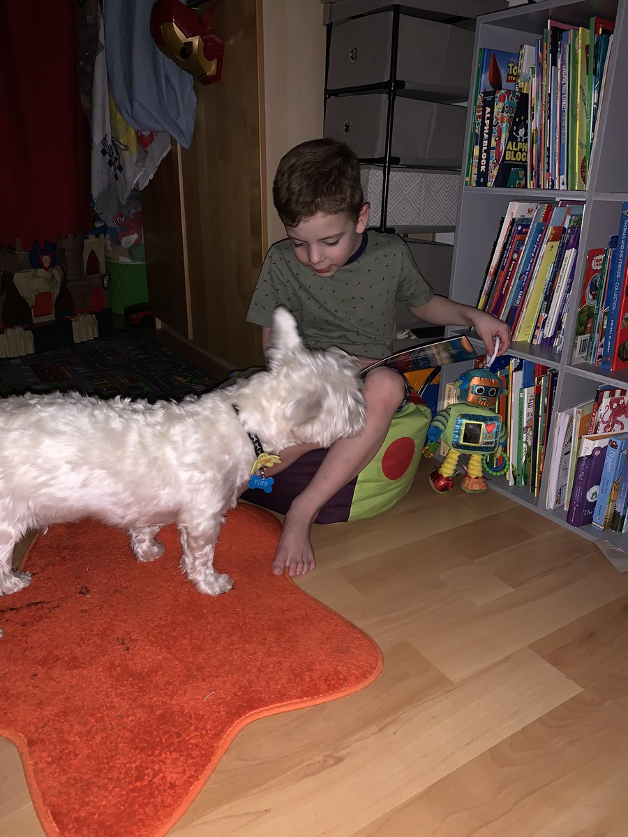 Logan reading to Finn in his cosy reading corner <a href="/CardonaldPri/">Cardonald Primary</a>