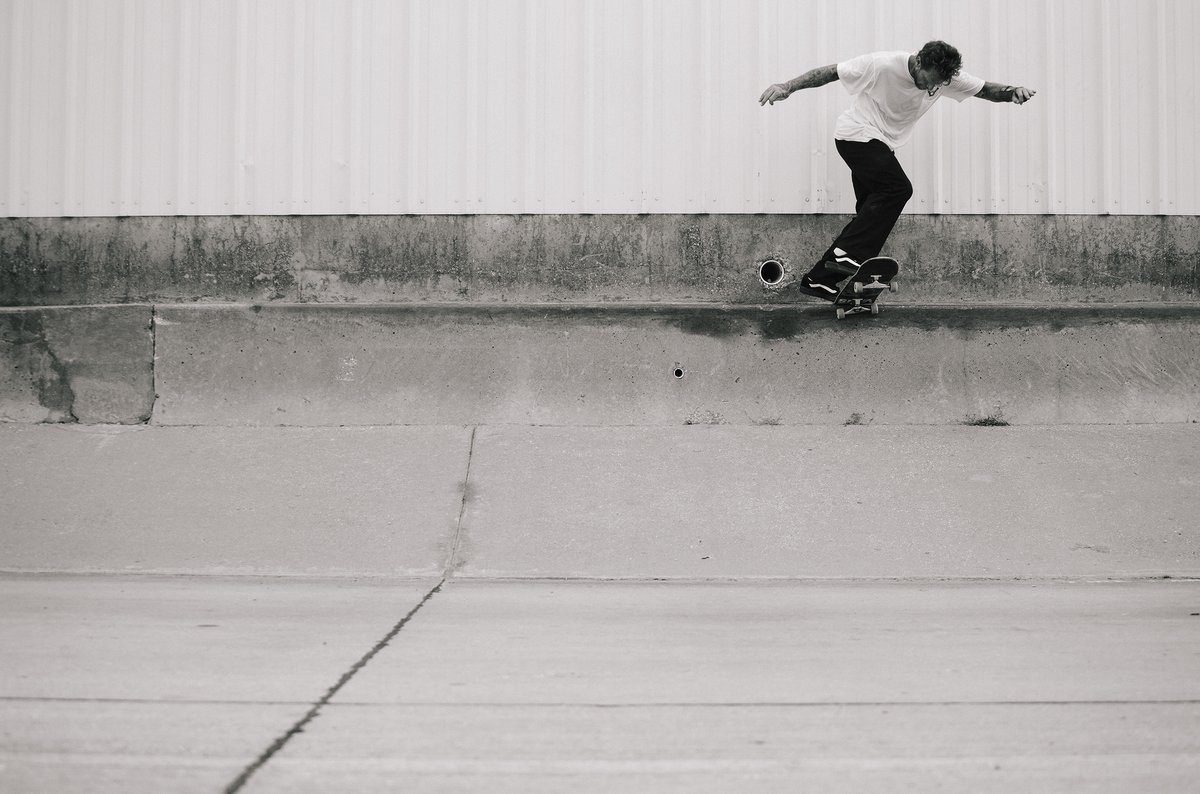 vans ave pro restock