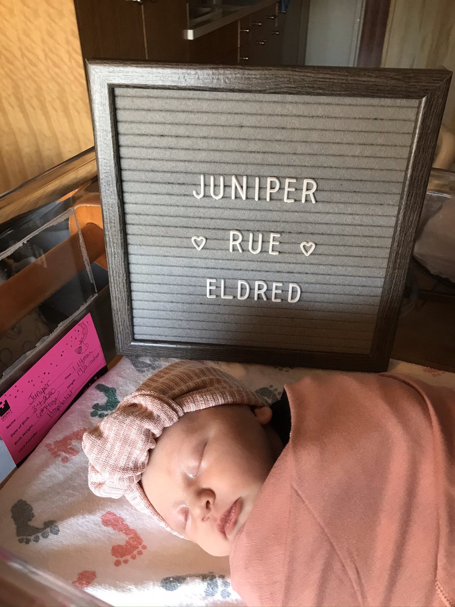 kyeldred's tweet photo. Juniper Rue Eldred
6.14 pounds
19.5 inches
Healthy as can be https://t.co/avi5SYZTxM