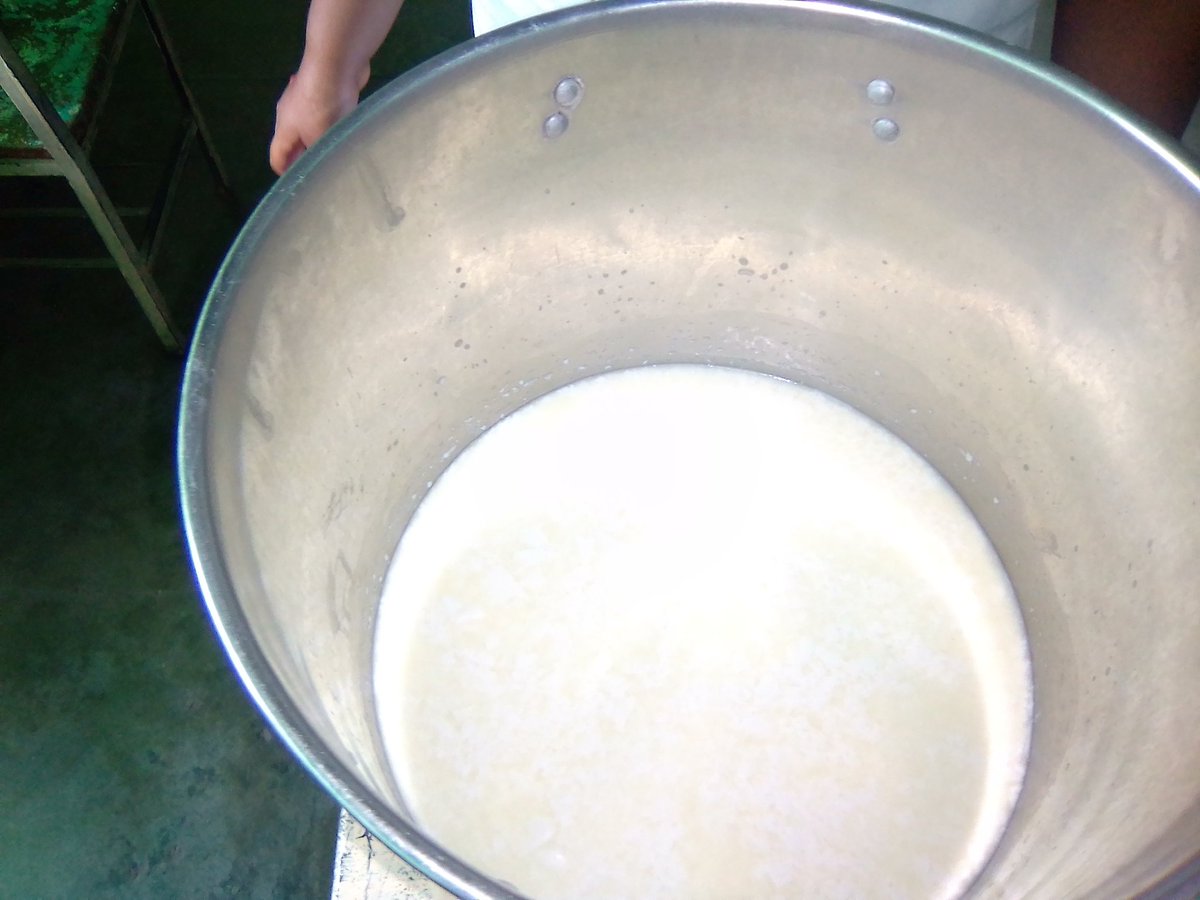Elaboración de queso llanero por la estudiante Kenia Rodriguez docente Yudith Ollarve  Escuela Quince de Enero <a href="/pedrogordo/">@pedrogordo</a> @ZE_Aragua
<a href="/Antonietaprens1/">Antonieta Prensa Fundabit Aragua</a> <a href="/FundabitAragua/">FUNDABIT ARAGUA</a> <a href="/cbitaragua/">cbit aragua</a>
@