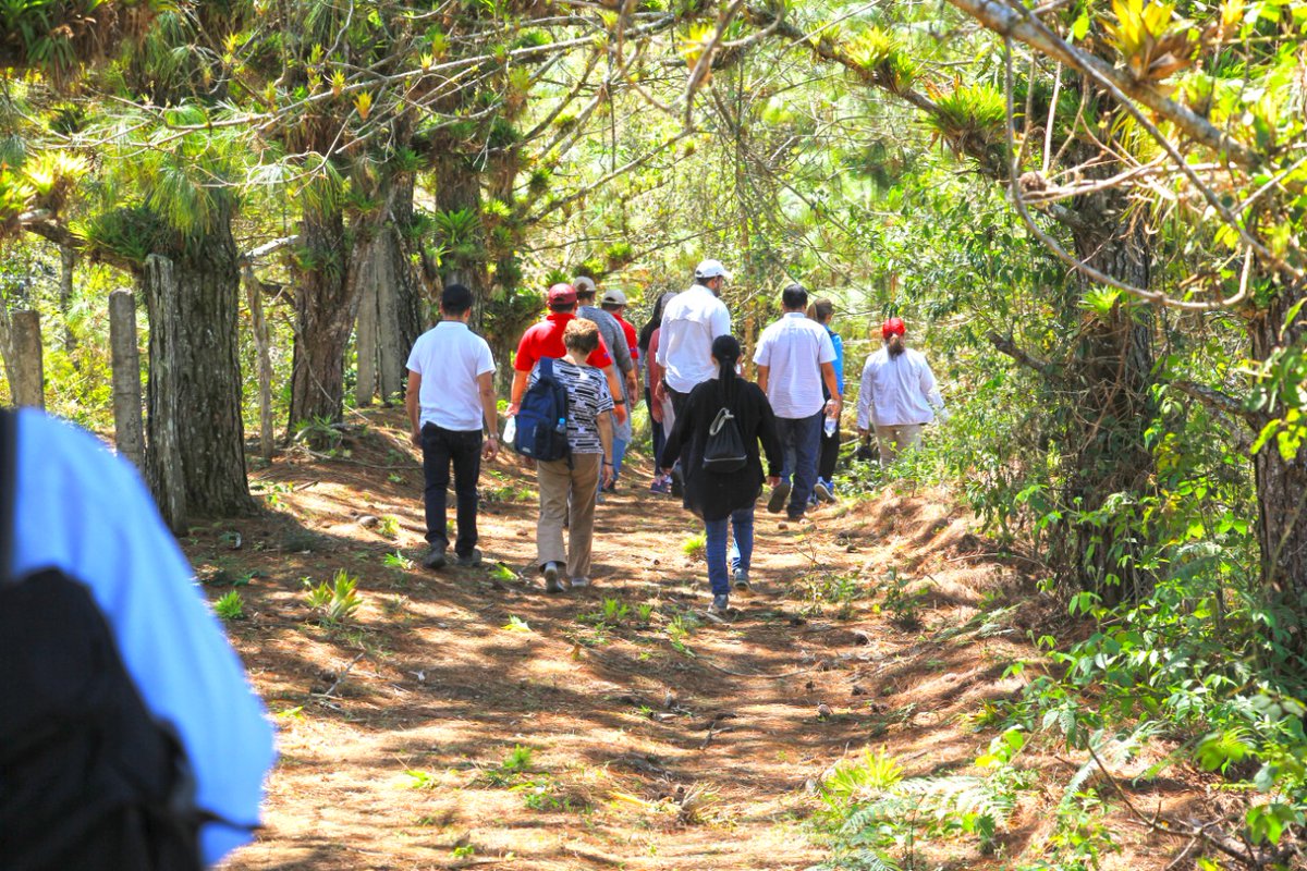 Funcionarios de #MiAmbiente y la <a href="/CCADSICA/">CCAD-SICA</a>, efectúan visita de campo al Corredor Biológico de La Unión, en el municipio de Guinope, en el departamento de El Paraíso, en donde monitorean y conocen de las actividades que allí se desarrollan.
<a href="/DiBio1/">DiBioHn</a>