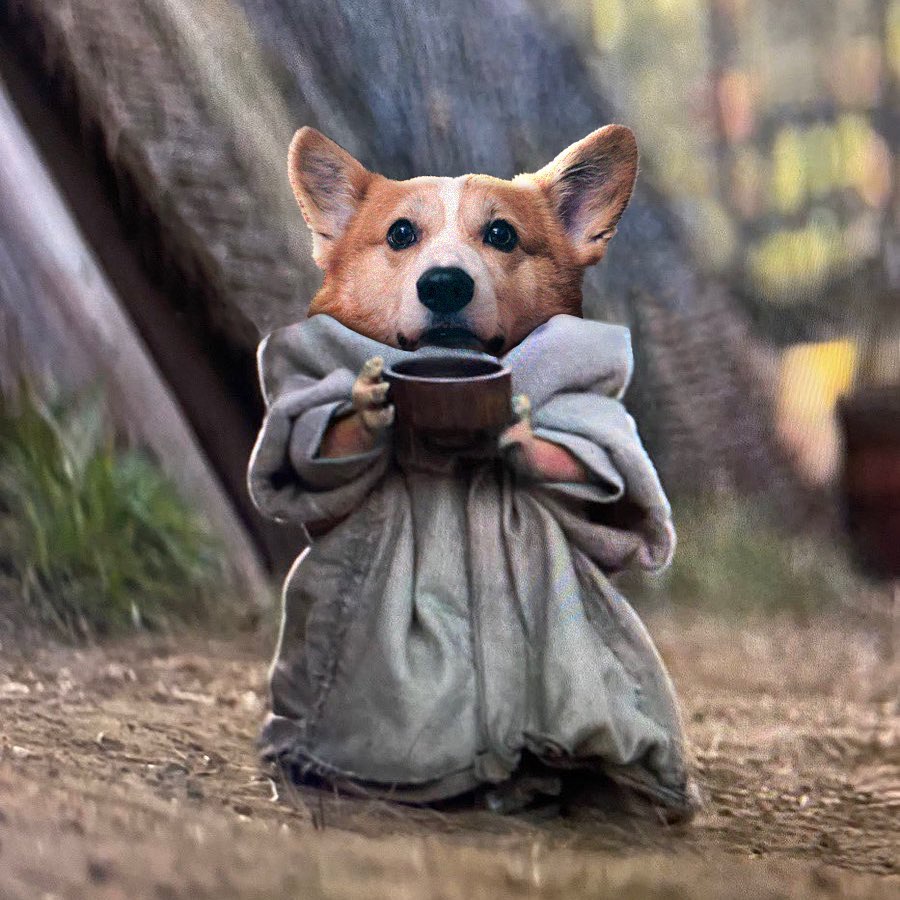 corgilovers3's tweet photo. Judge me by my size, do you?

Pawrents and I just started watching The Mandalorian ⭐️ ⚔️
#corgiplanet #corgilife #corgigram #instagramcorgis #corgioftheday #BernieOrBust2020 Batmobile #BlackSwan https://t.co/3X9lph2xzT