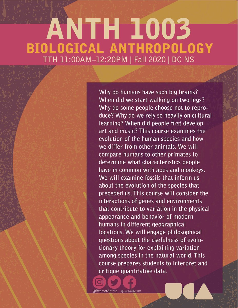 BearcatAnthro's tweet photo. Calling all
@UC_DAAP
&
@LindnerCollege
students who want to add an anthropological perspective to their work!
#ANTH1001 Cultural Anthropology
#ANTH1003 Biological Anthropology
#ANTH1005 Intro to Archaeology
#ANTH1007 Intro to Linguistic Anthropology
#AnthMore https://t.co/PyY3bBqMoc