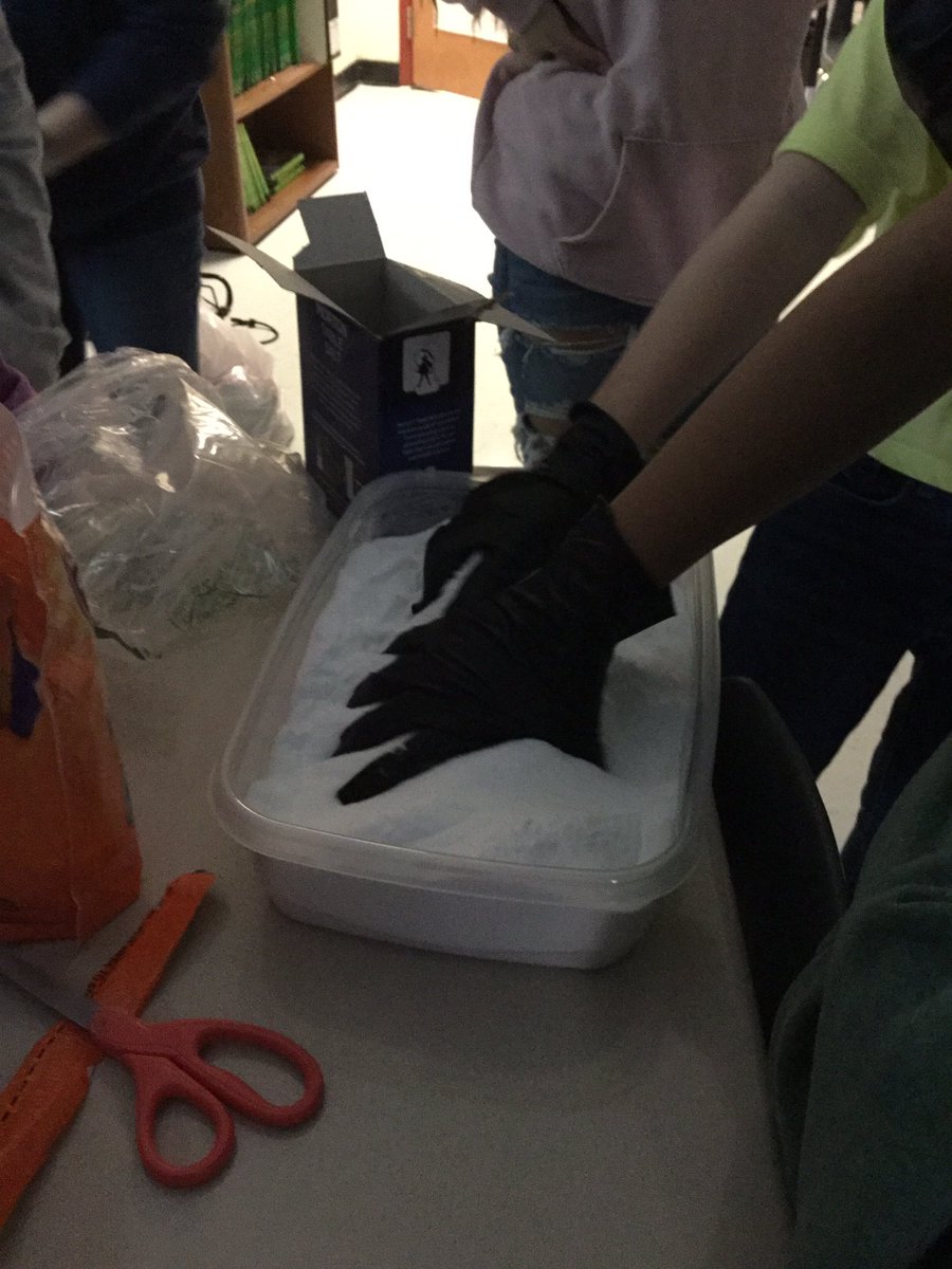 SterlingLatin's tweet photo. @SterlingMiddle1 Latin students mummifying their chicken which they named Melvin 2. We now have 4 chickens at 3 schools in #LCPS  Melvin 2 will sit on shelf until next Thursday when the students will change the salt compound
What will he look like then? https://t.co/xh9QH09AYl