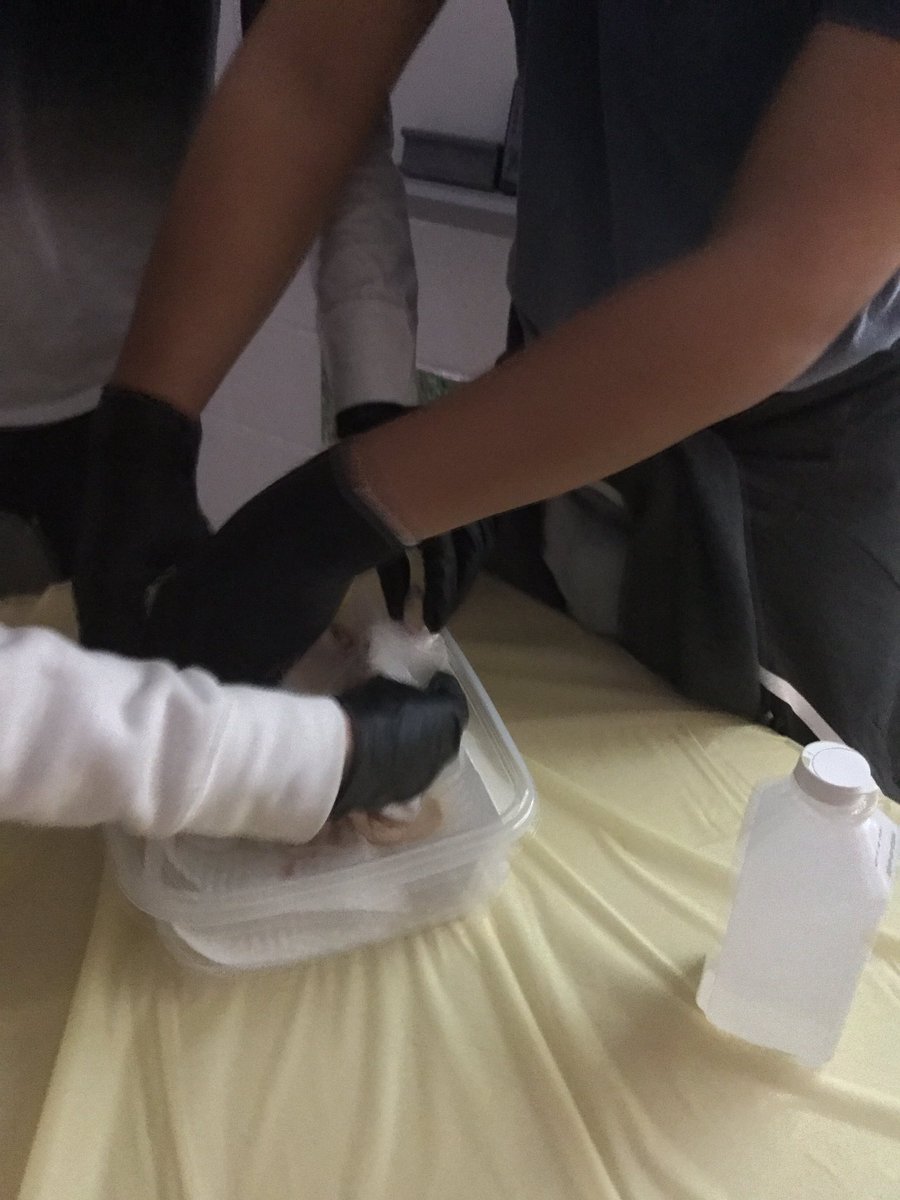 SterlingLatin's tweet photo. @SterlingMiddle1 Latin students mummifying their chicken which they named Melvin 2. We now have 4 chickens at 3 schools in #LCPS  Melvin 2 will sit on shelf until next Thursday when the students will change the salt compound
What will he look like then? https://t.co/xh9QH09AYl