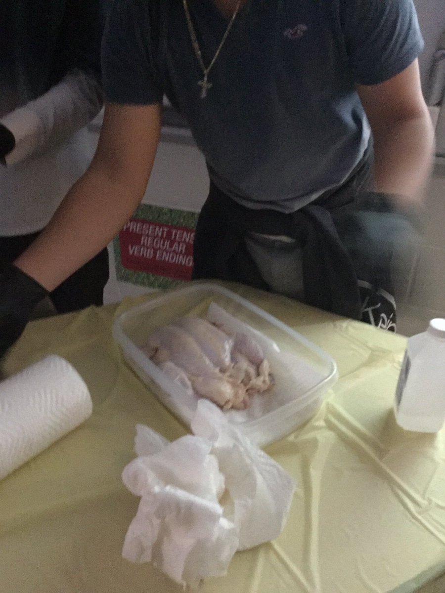 SterlingLatin's tweet photo. @SterlingMiddle1 Latin students mummifying their chicken which they named Melvin 2. We now have 4 chickens at 3 schools in #LCPS  Melvin 2 will sit on shelf until next Thursday when the students will change the salt compound
What will he look like then? https://t.co/xh9QH09AYl