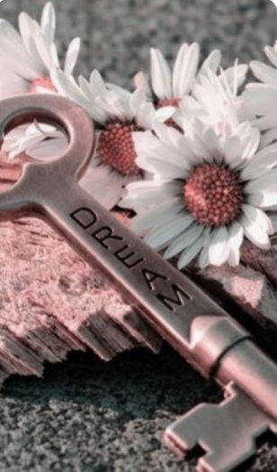 sciuto_agata's tweet photo. @lori_gianna @CristinaShonny @guagnano_paolo @dicuonzobt @ToniaAntonella @MarcelloAtanas @RobertoGranai @RosettaBarbass1 @MolaschiClara @davidedigirola1 @Venere781 @29marzolina @Aquilottoblu @marcovolpicell @massimo3651 @ArgentonViviana @carmenjaratn @betyzapi @JermannPeter @RBarbasso @GadottiRenza @Marilu08714243 @usai1951 @Presciani68 @angelichina2 @giusepp72655693 @pierafilippo3 @muracristina1 @porterAI #cit
Il #futuro #appartiene
a coloro che #credono nella #bellezza dei propri #sogni 💬
#Bacidistelle 💋 🌟 💋 ✨ 💋 🌟 💋 ✨ 💋 🌟 💋 ✨💋 🌟 💋 🌛 a tutto il #carrozzone 🚄
(ma prima.... #Retequattro #repubblicadelledonne con il #mitico #CristianoMalgioglio ❤️ https://t.co/m8MI09KFsq