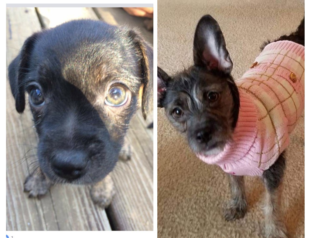 jackienewc's tweet photo. Just because.. #elliegirl https://t.co/qWXQr6Hp7E