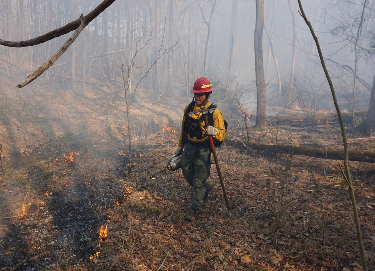 JoshuaPil's tweet photo. I'm an official firefighter! Probably the most tiring and fun time I have had in a while. Excited to participate in future prescribed burns. Badass photo shoots are a big plus. https://t.co/m5KqOPP5rx