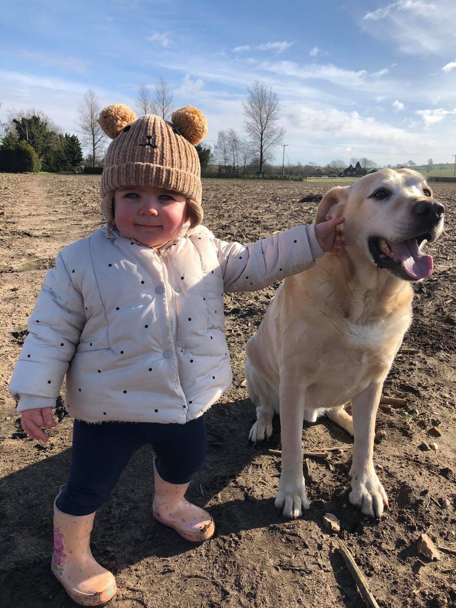 NicoleAmyB's tweet photo. Munchkin and her doggy friend! 👶🏻🦮 https://t.co/5NrEUtR5lL