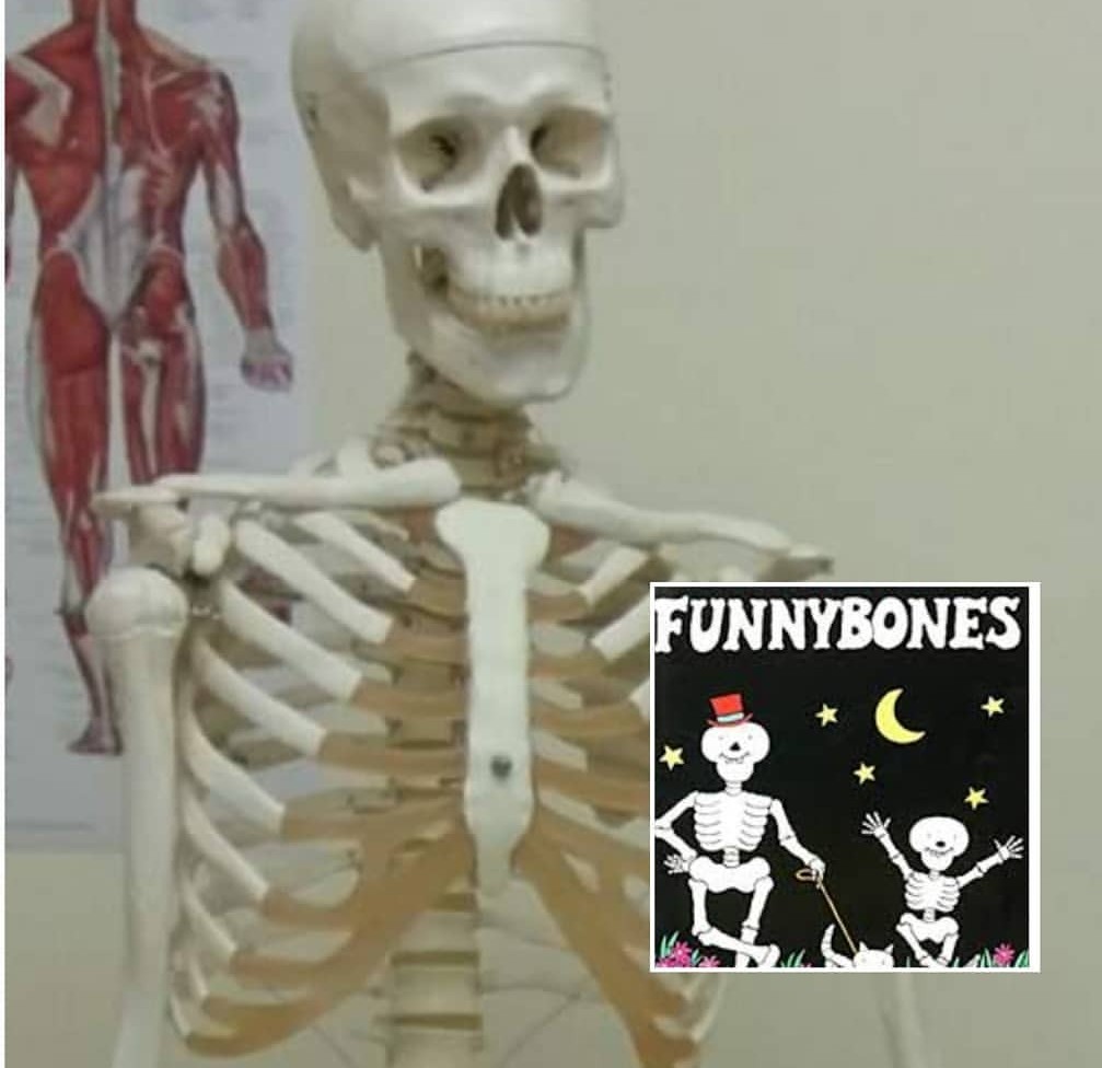 PhysioMon's tweet photo. So #angleseyhour its #worldbookday tomorrow -anyone big or small dressing up in your house? Our office assistant Bones has been planning his outfit for weeks......🤦‍♀️ 
#anglesey #funnbones https://t.co/PmqDBTEUuq