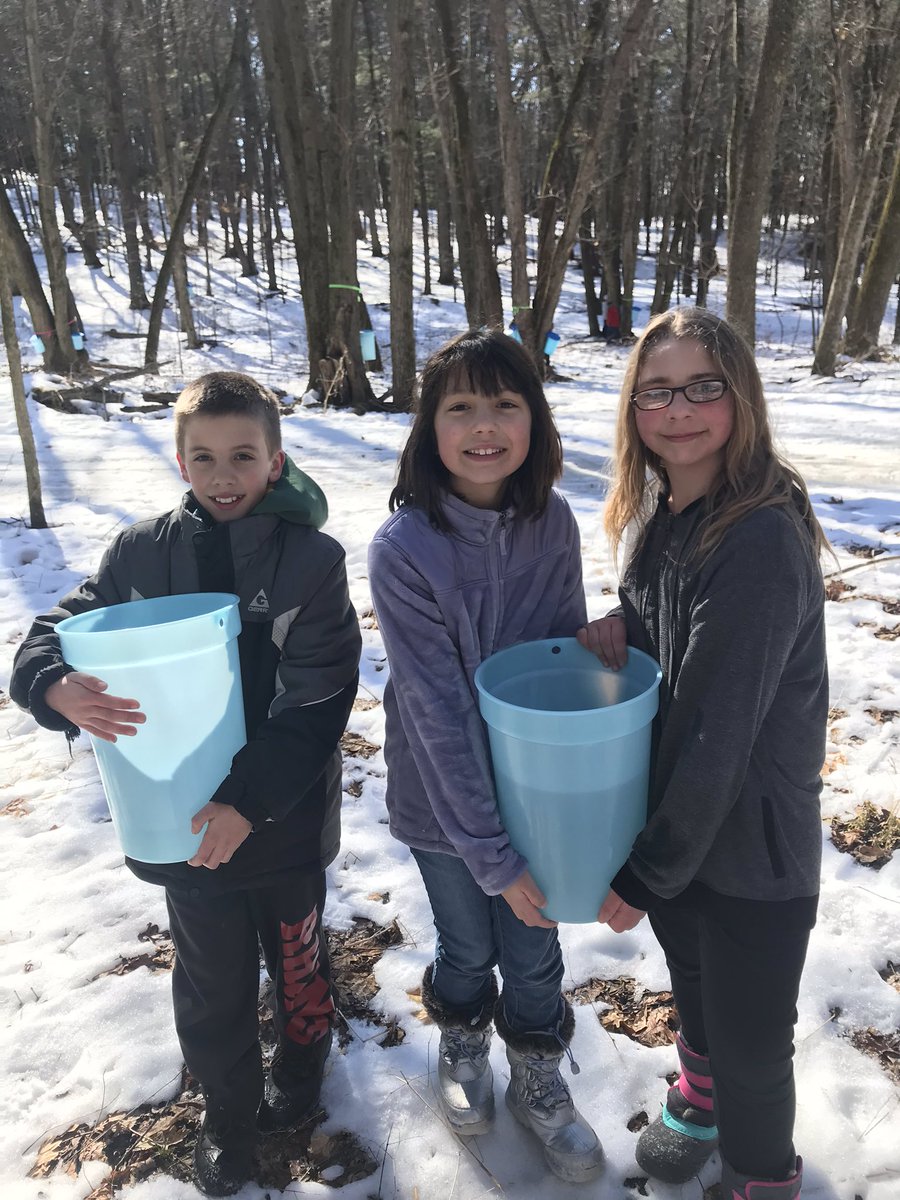 PeetzMatt's tweet photo. Hartje Center maple syrup unit day two highlights! Lots of hands on experiences. #Reedsburgpride https://t.co/S5M2rrPuYk