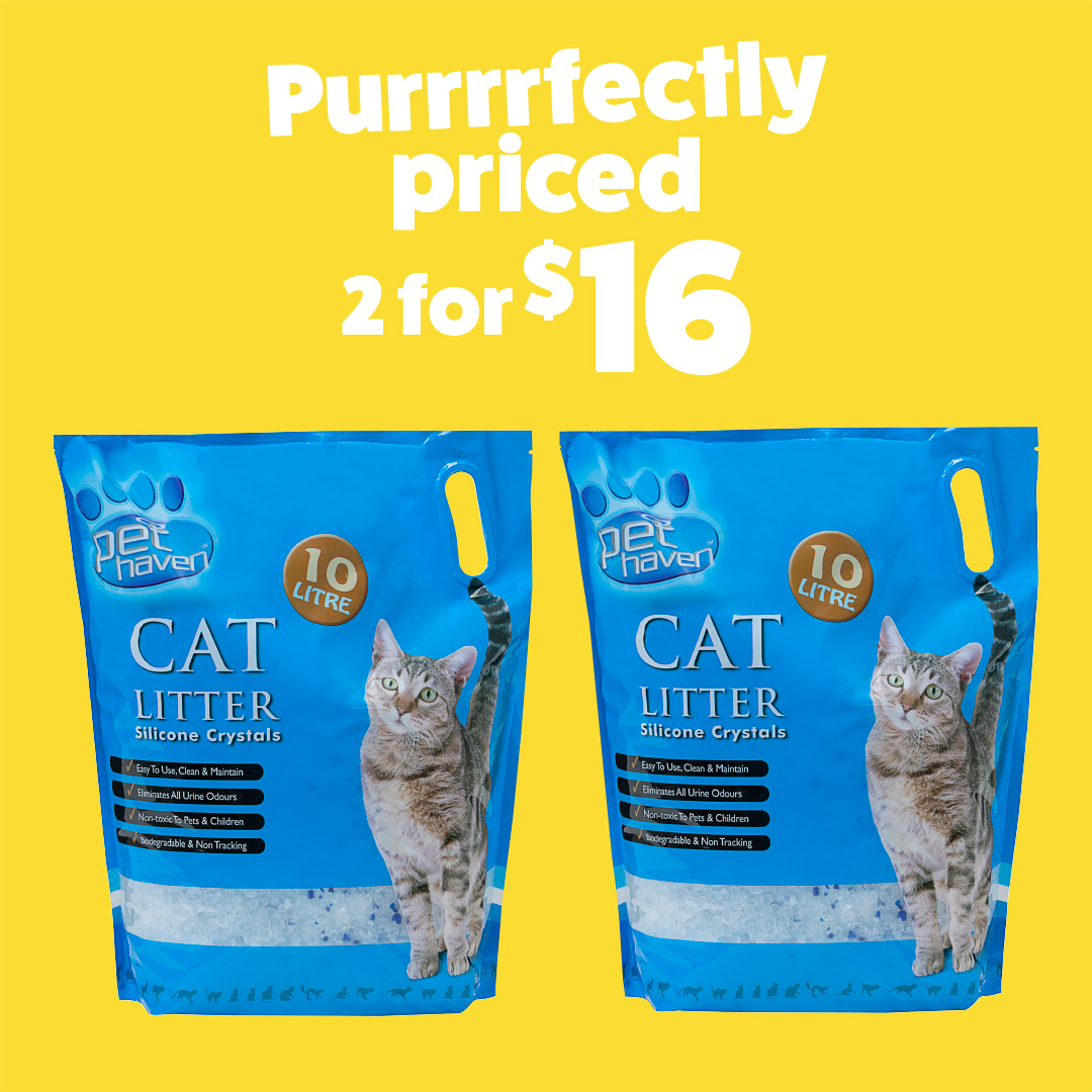 The Reject Shop on Twitter "Soak up the savings with this bargain cat